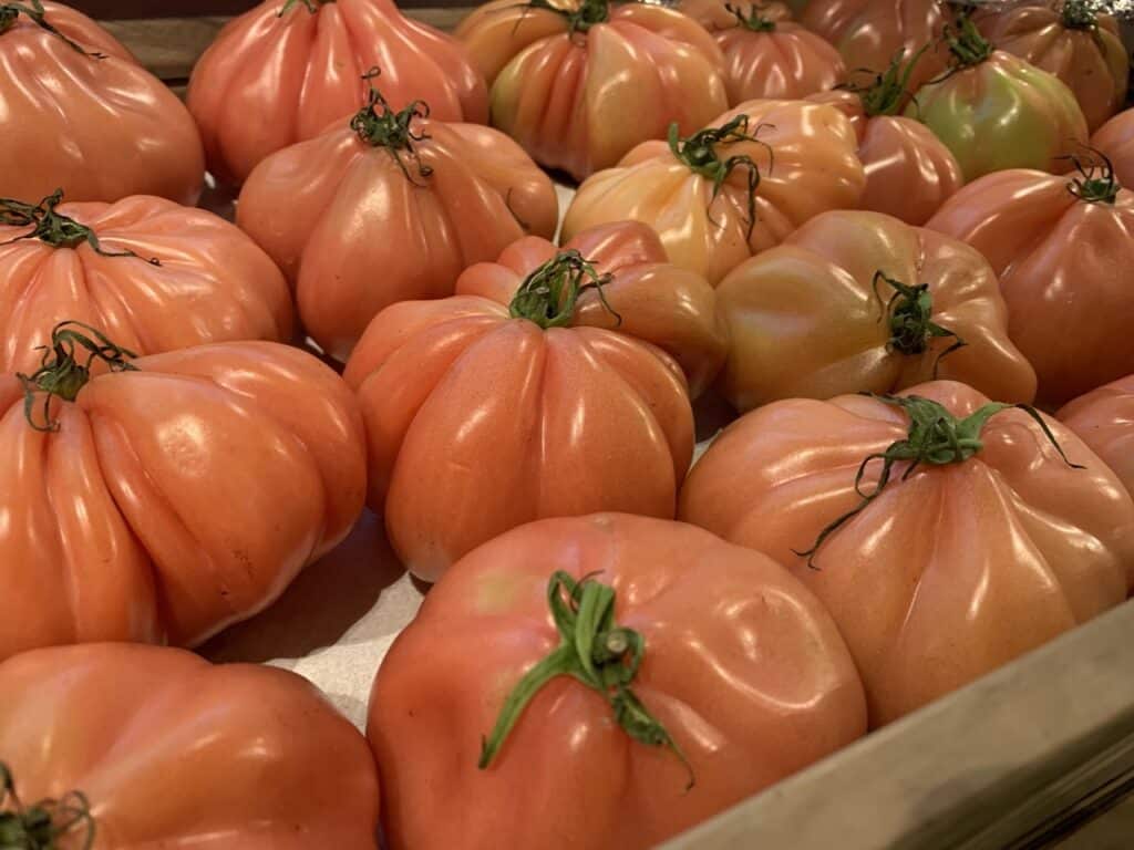 עגבניות איטלקיות, פוסט קצר על סוגים, דיעה, וחיים לצד האדום הזה שאי אפשר בלעדיו.